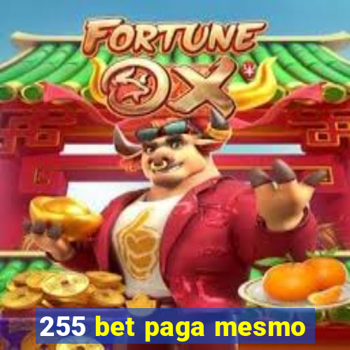 255 bet paga mesmo